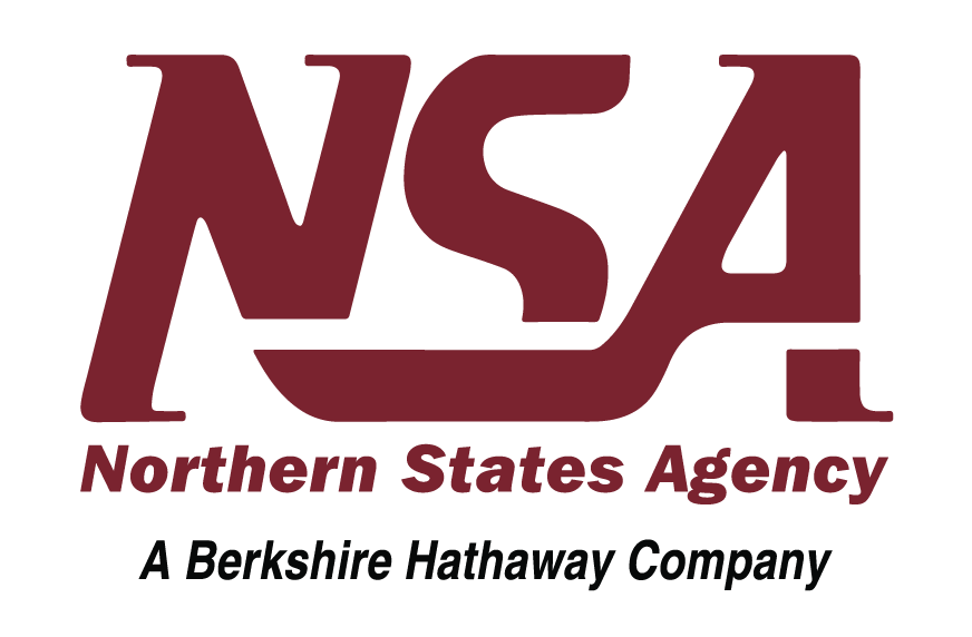 logo for Northern States Agency
